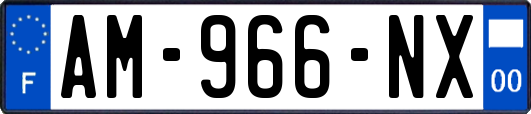 AM-966-NX
