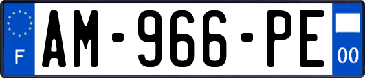 AM-966-PE