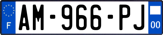 AM-966-PJ