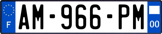 AM-966-PM