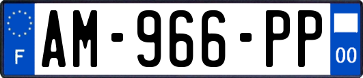 AM-966-PP