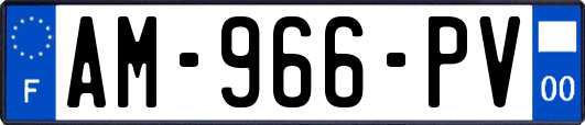 AM-966-PV