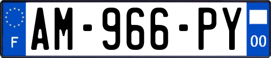 AM-966-PY