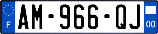 AM-966-QJ