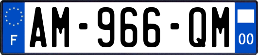 AM-966-QM