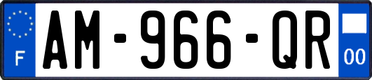 AM-966-QR