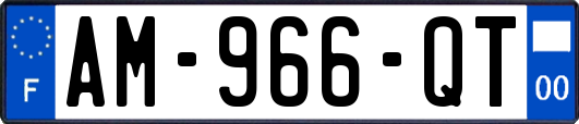 AM-966-QT