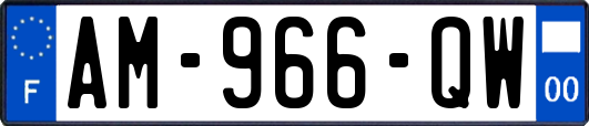 AM-966-QW