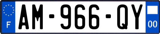 AM-966-QY