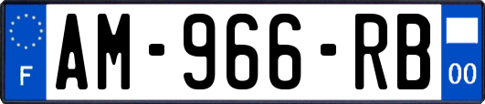 AM-966-RB