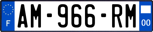 AM-966-RM