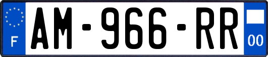 AM-966-RR