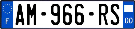 AM-966-RS