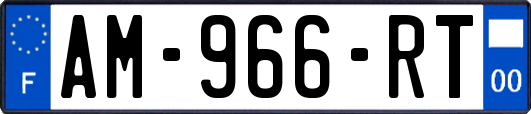 AM-966-RT