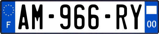 AM-966-RY