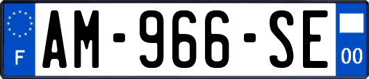 AM-966-SE