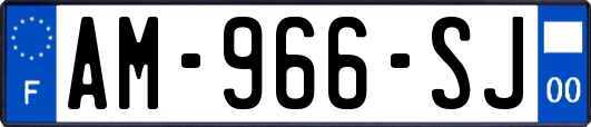 AM-966-SJ