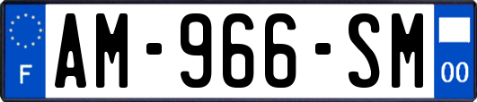 AM-966-SM