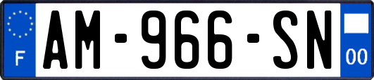 AM-966-SN