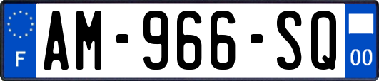 AM-966-SQ