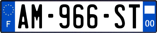 AM-966-ST