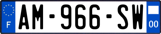 AM-966-SW