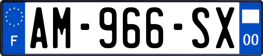 AM-966-SX