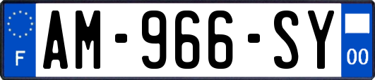 AM-966-SY