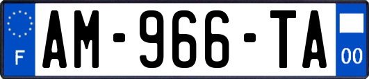 AM-966-TA