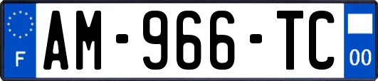 AM-966-TC