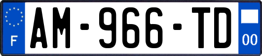 AM-966-TD