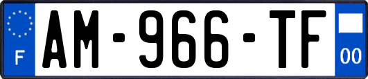 AM-966-TF