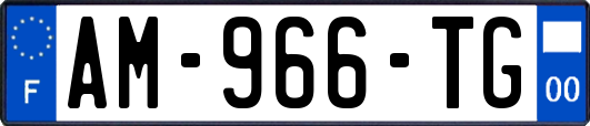 AM-966-TG