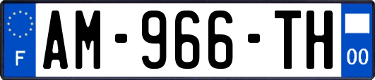 AM-966-TH