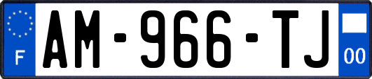 AM-966-TJ