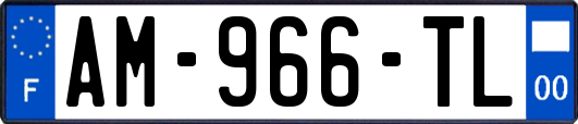 AM-966-TL