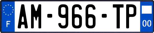 AM-966-TP