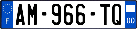AM-966-TQ