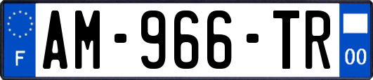 AM-966-TR