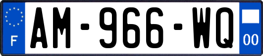 AM-966-WQ