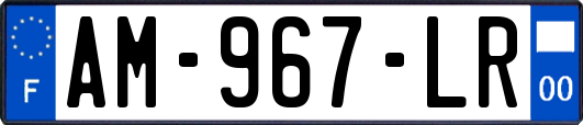 AM-967-LR