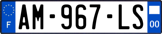 AM-967-LS