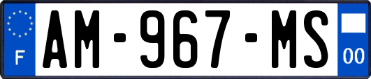 AM-967-MS