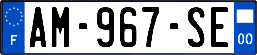 AM-967-SE