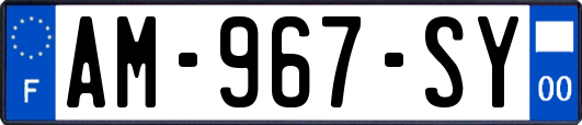 AM-967-SY