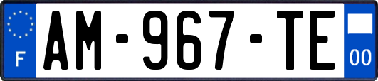 AM-967-TE