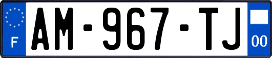 AM-967-TJ