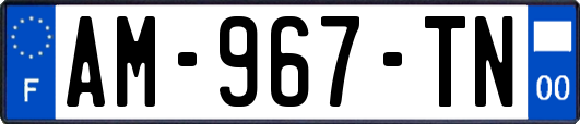 AM-967-TN