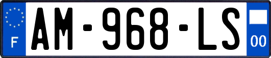 AM-968-LS