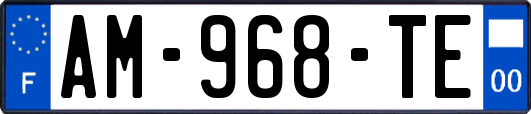 AM-968-TE